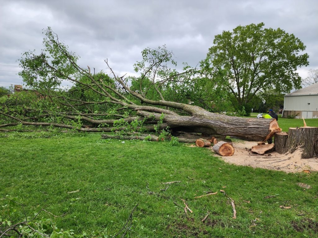 Dutton Tree Service: kép a saját honlapjukról