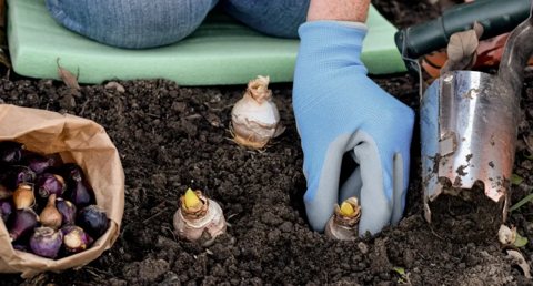 English Gardens – Dearborn Heights: English Gardens planting advice banner with flowers