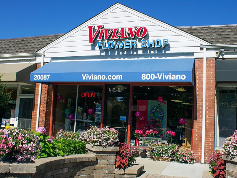 Viviano Flower Shop – Grosse Pointe Woods: Grosse Pointe Woods store exterior on Mack Avenue