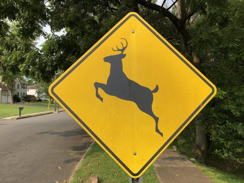 A yellow deer-crossing sign
