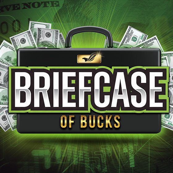 Briefcase of Bucks at Soaring Eagle Casino & Resort — Organizer image