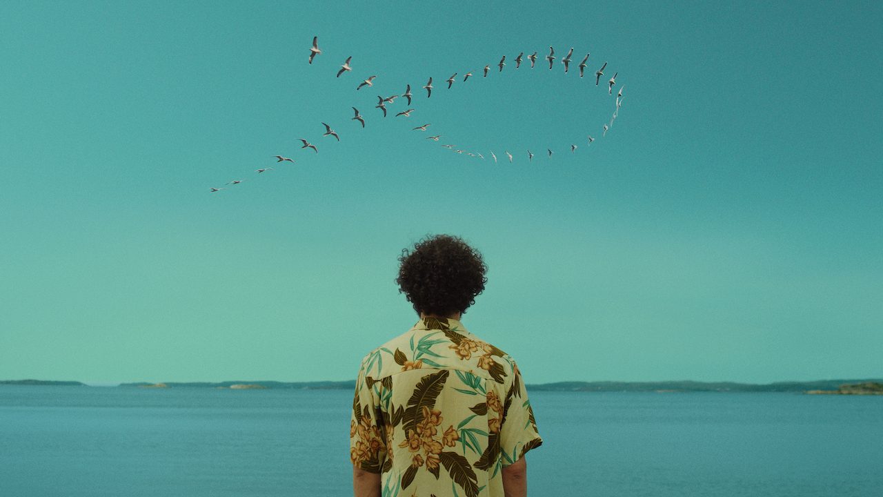 José González koncert — Szervezői kép