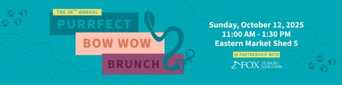 36. éves Purrfect Bow Wow Brunch — Szervezői kép