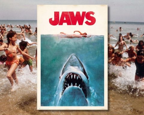 Jaws (1975) — Organizer image