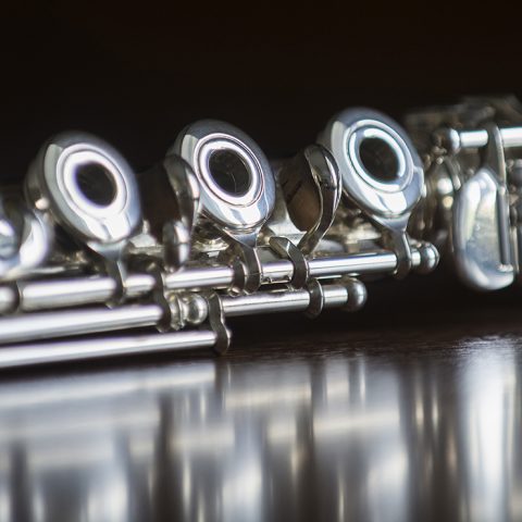 FSPA Faculty Concert Series: Bryan Guarnuccio virágos fuvolaestje a flinti MacArthur Recital Hallban — Szervezői kép