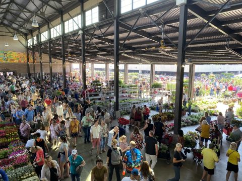 Flower Day 2025 — Organizer image
