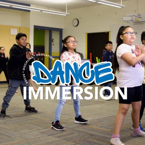 Dance Immersion Showcase — Organizer image
