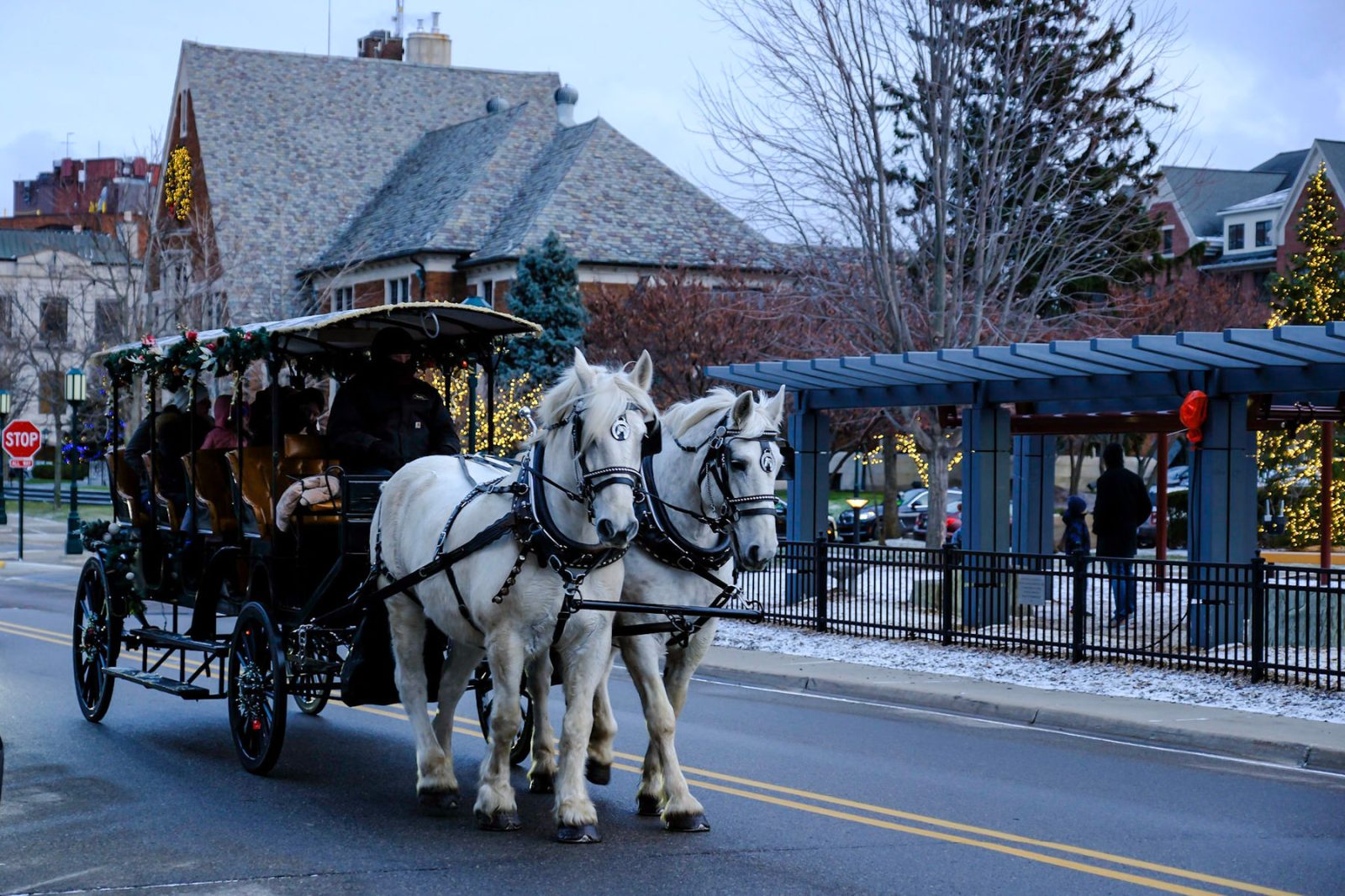 Horse-Drawn Carriage Rides at Shain Park — Organizer image
