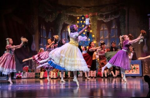 The Nutcracker — Organizer image