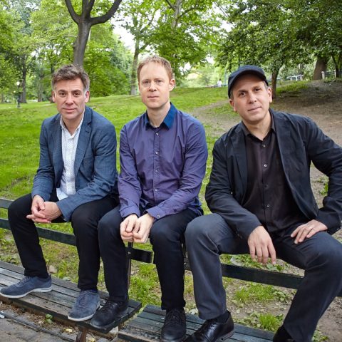 Goldings/Bernstein/Stewart orgonatrió — Szervezői kép