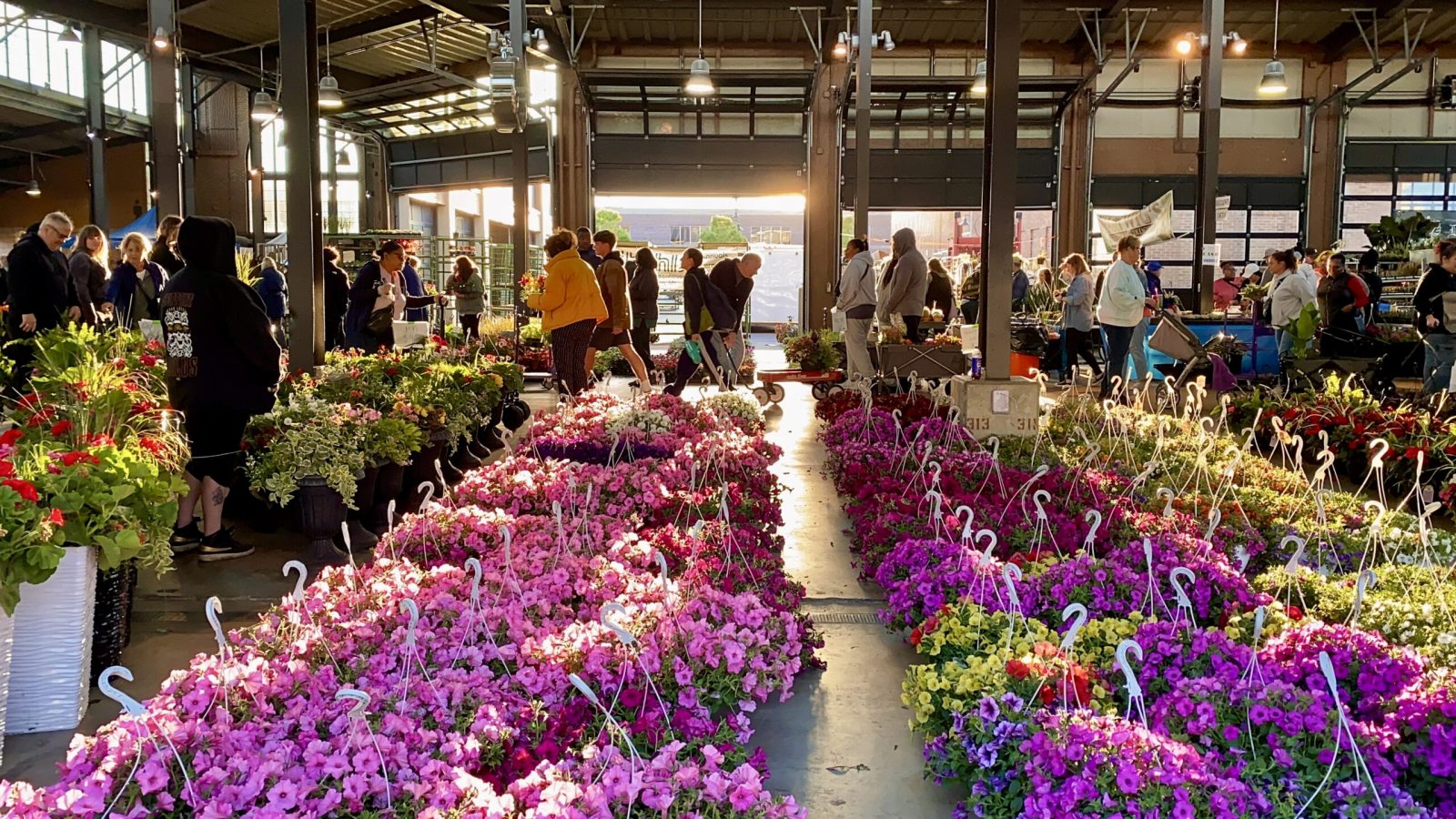 Flower Day 2026 — Organizer image
