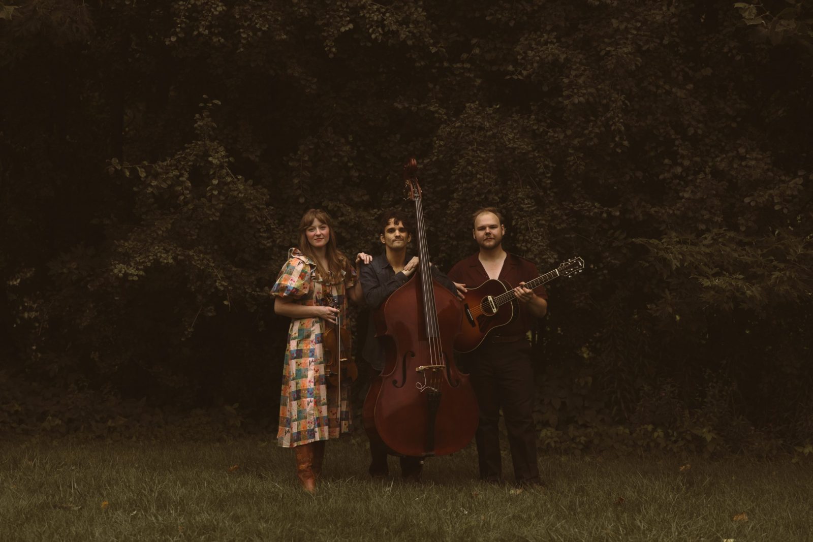 The Wildwoods at The Ark in Ann Arbor — Organizer image