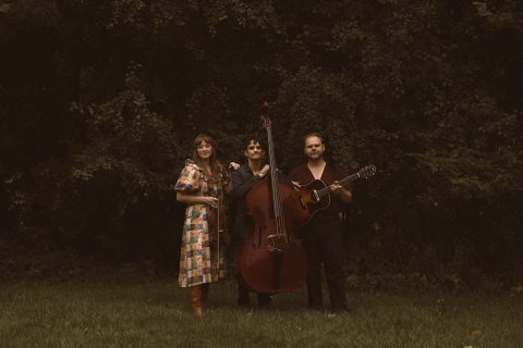 The Wildwoods at The Ark in Ann Arbor — Organizer image