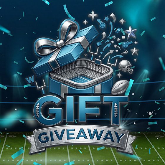 Lions Gift Giveaway — Organizer image