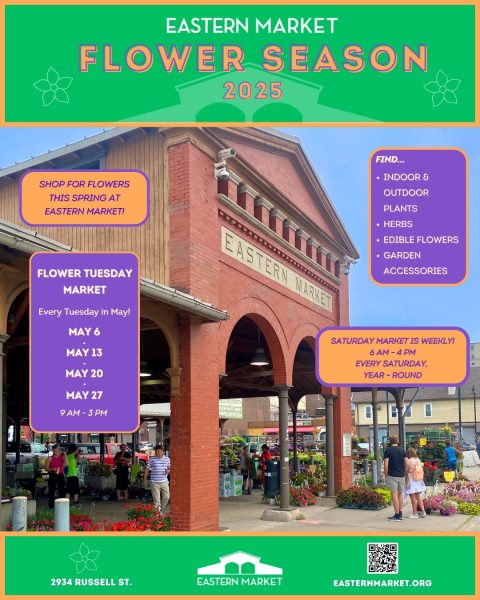 Flower Tuesday Market — Organizer image