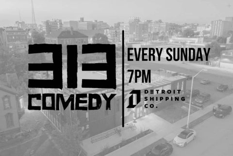 313 Comedy — Organizer image