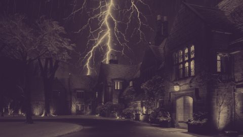 Murder Mystery Party at Ford House — Organizer image
