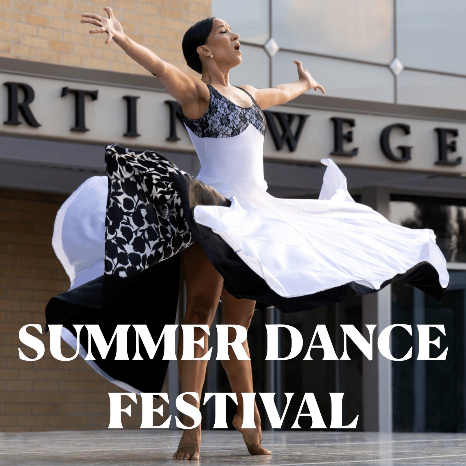 Summer Dance Festival — Organizer image