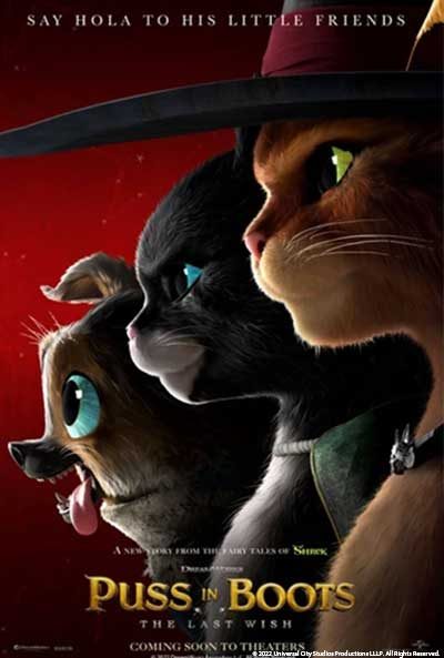 Puss in Boots: The Last Wish — Organizer image