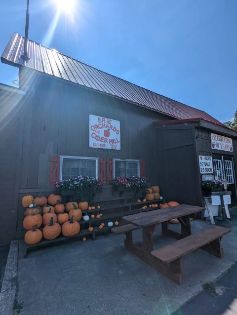 Pumpkin Festival at Erie Orchards and Cider Mill in Erie — Organizer image