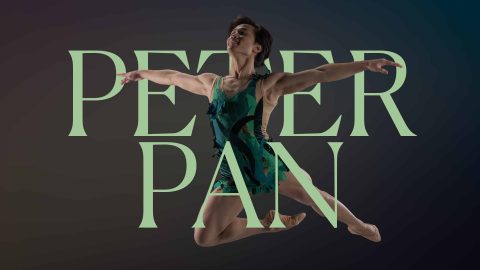 Peter Pan — Organizer image
