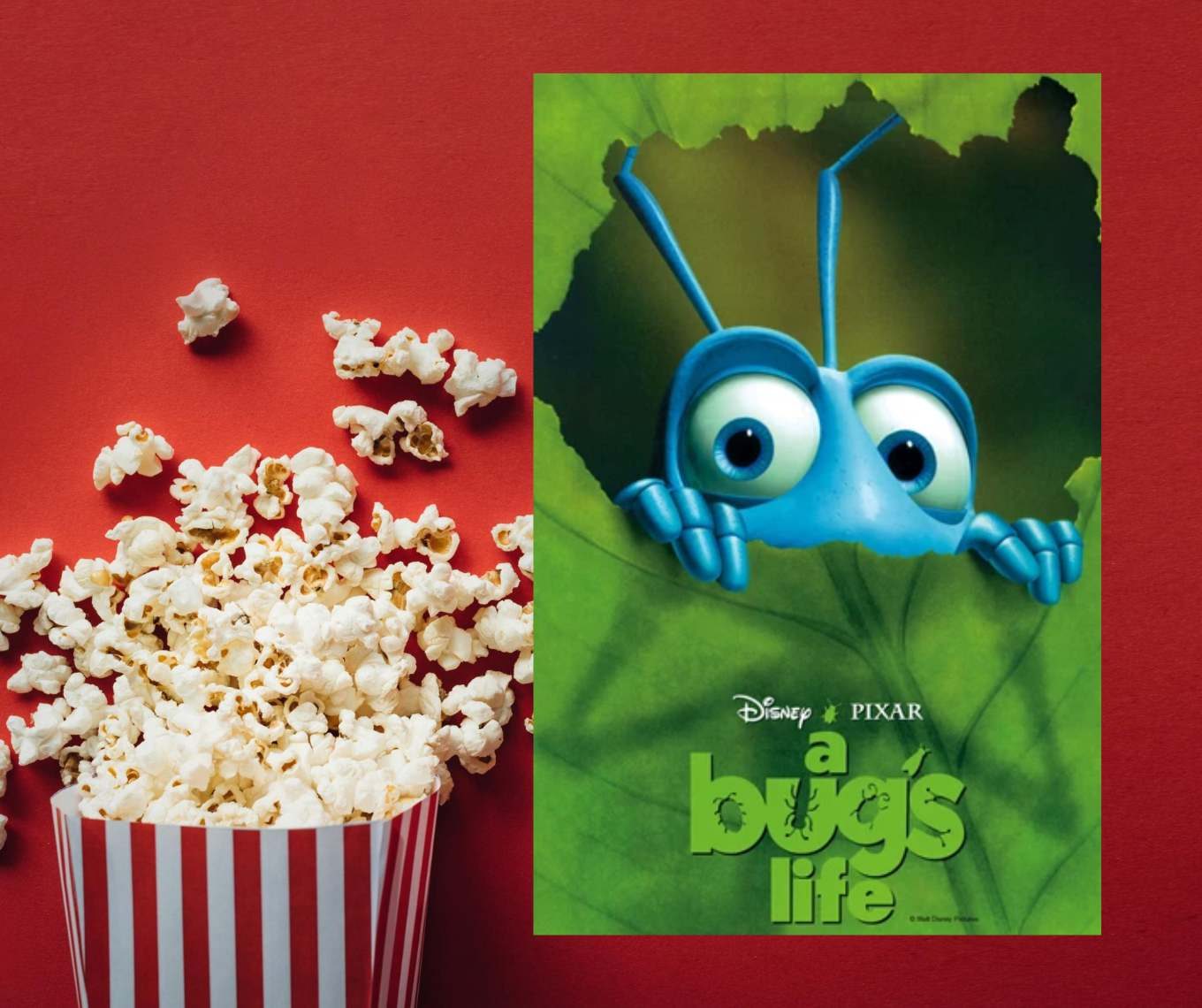 A Bug’s Life — Organizer image