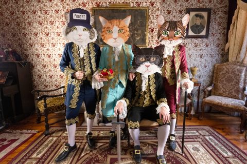 Fantastic Cat — Organizer image