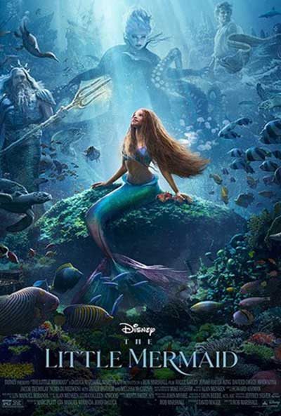 The Little Mermaid — Organizer image