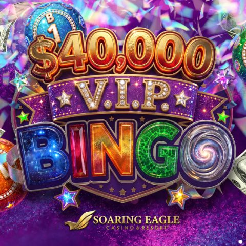 $40,000 V.I.P. Bingo — Organizer image