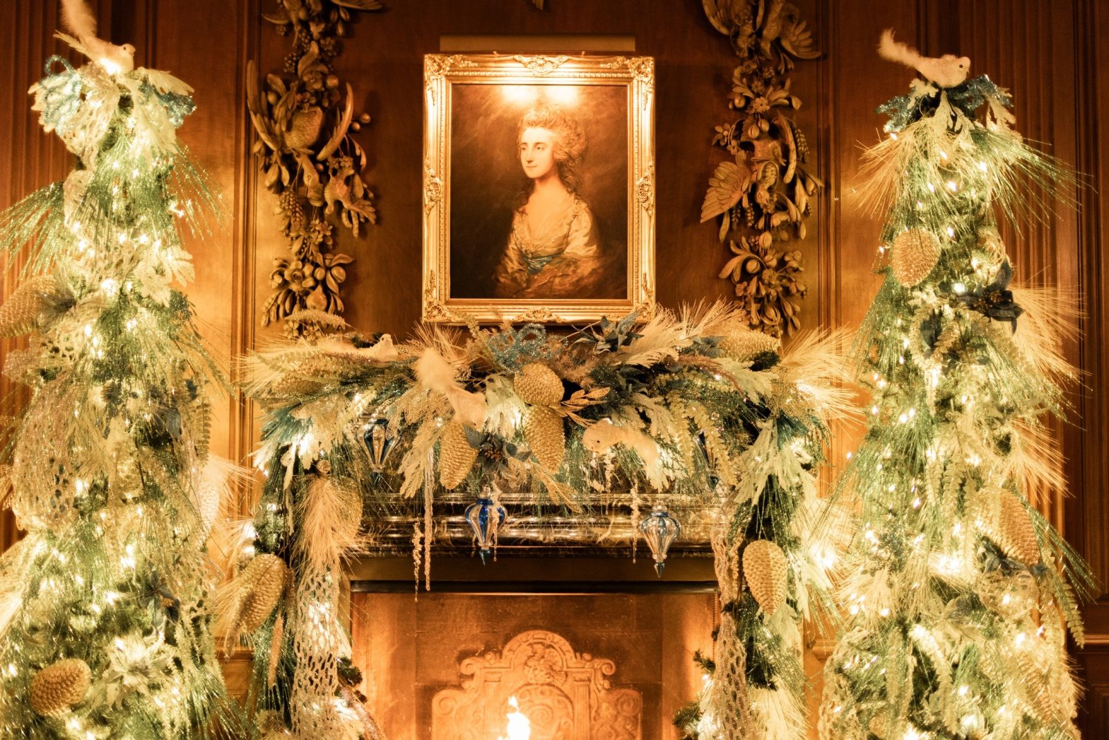 Candlelight Tour — Organizer image