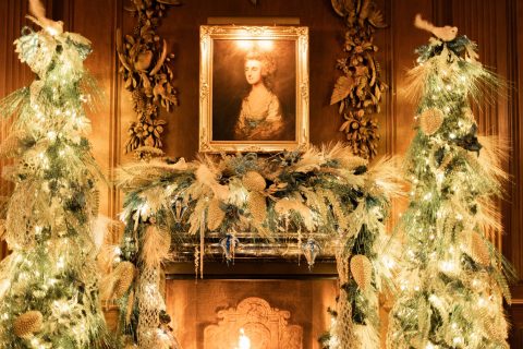 Candlelight Tour — Organizer image