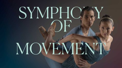 Symphony Of Movement — Organizer image