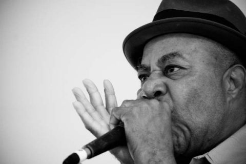 Harmonica Shah and Howard Glazer — Organizer image