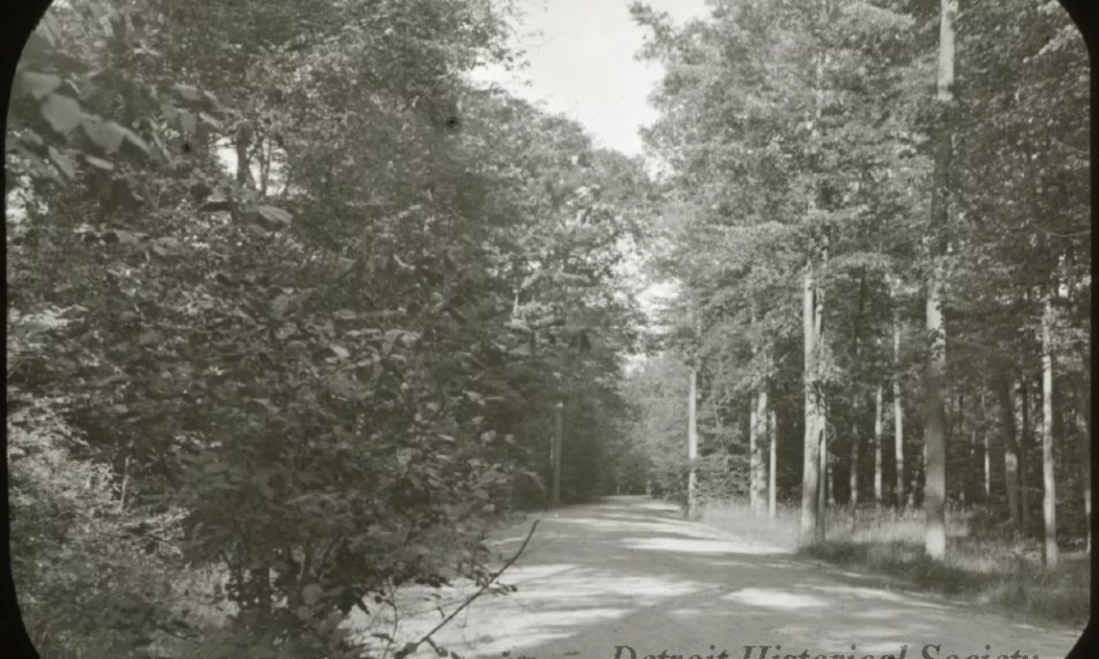 Lecture: Native Roots – Indigenous History of Belle Isle — Organizer image