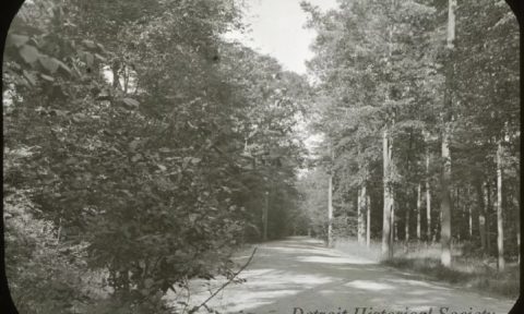 Lecture: Native Roots – Indigenous History of Belle Isle — Organizer image