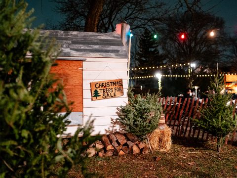 Holiday Greens & Tree Market — Szervezői kép
