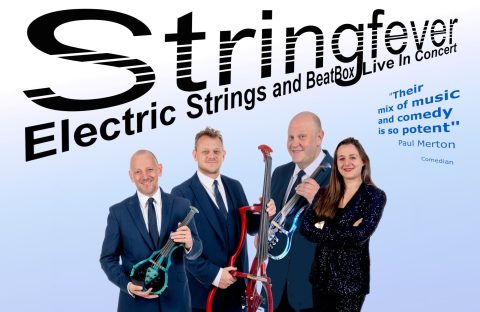 Stringfever — Organizer image