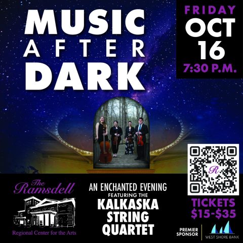 Music After Dark — Organizer image