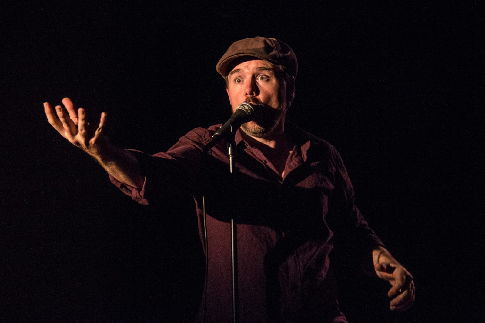 The Ark’s 37th Annual Storytelling Festival — Organizer image