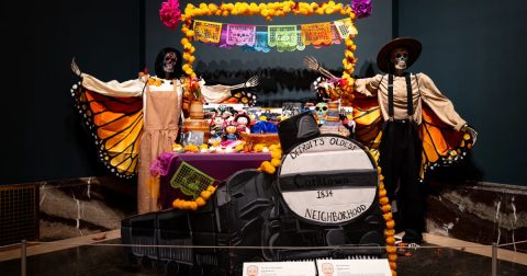 14th Annual Ofrendas: Celebrating el Día de Muertos at the DIA — Organizer image