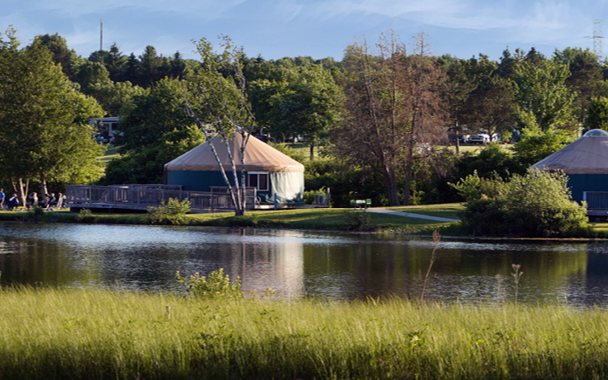 A lakeshore with reeds and houses at Addison Oaks park