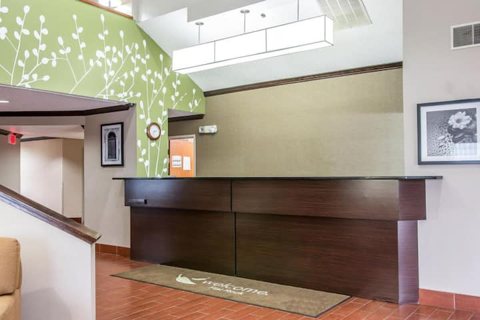 The front desk with a dark counter and a green patterned wall