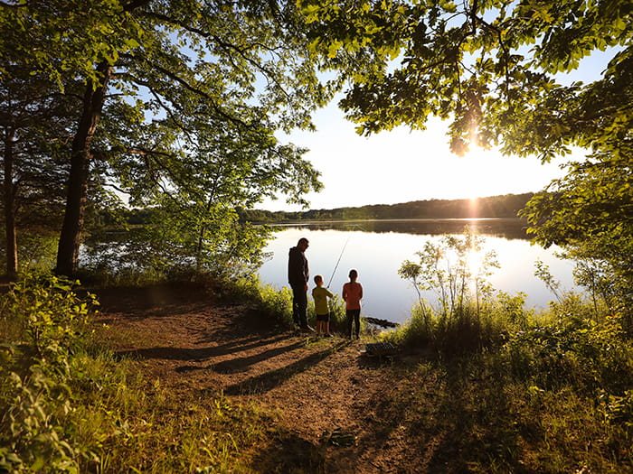 Sunset on the shore of Bass Lake among trees