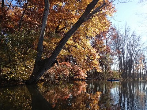 Autumn trees reflected in the lake
