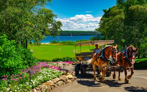 A horse-drawn carriage on a flower-lined drive, with the resort lawn, Adirondack chairs and Lake Huron behind