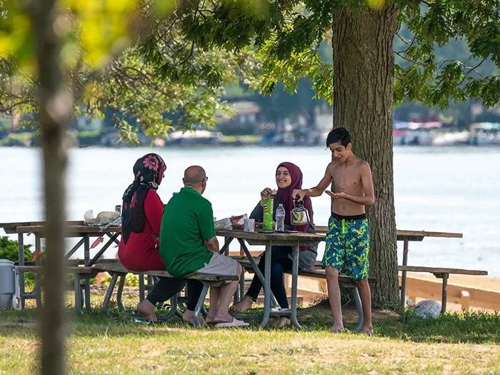 Picnic tables under a tree by the lake