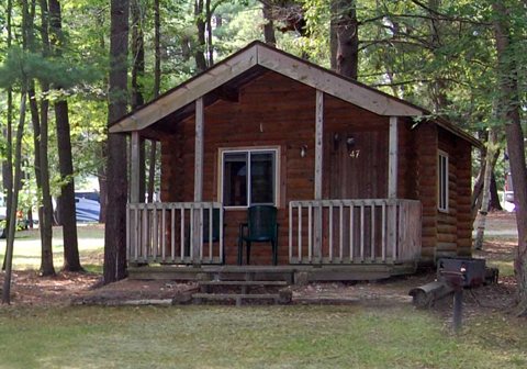 A wooden cabin among pine trees