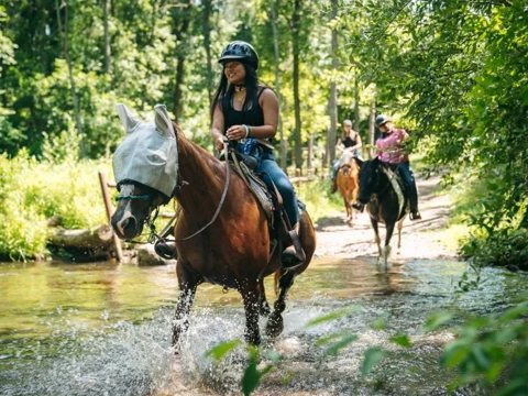 Rider on a wooded horse trail