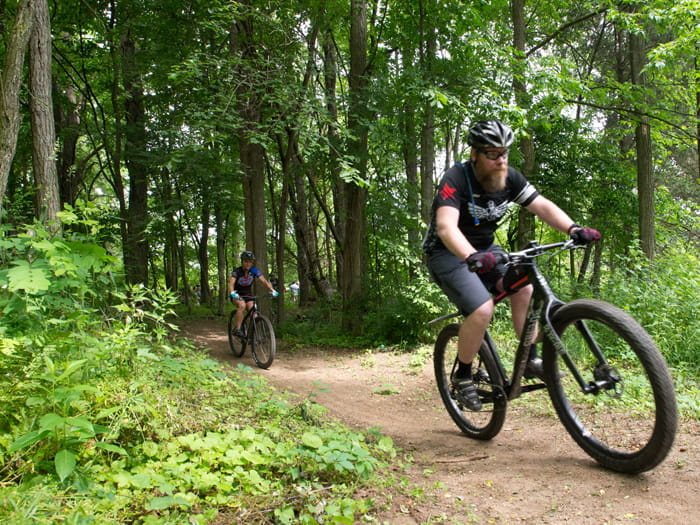 Mountain biker on a forest trail
