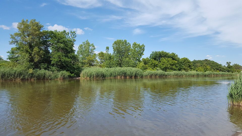 The Rouge River at Melvindale